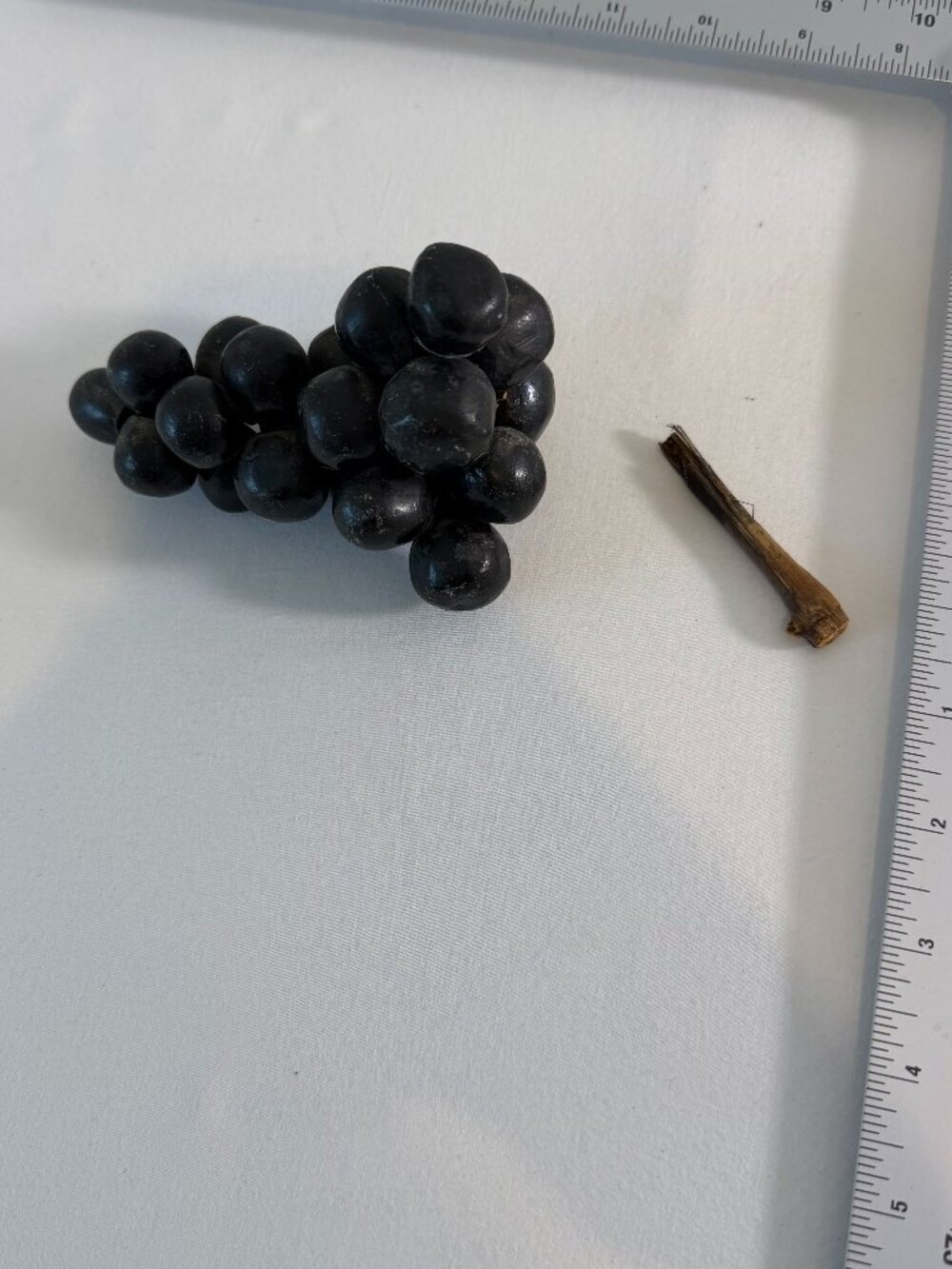 Vintage MCM Black Lucite Acrylic Grape Cluster Natural Driftwood Stem Faux Fruit